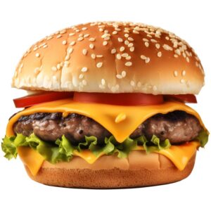 Chapli Burger